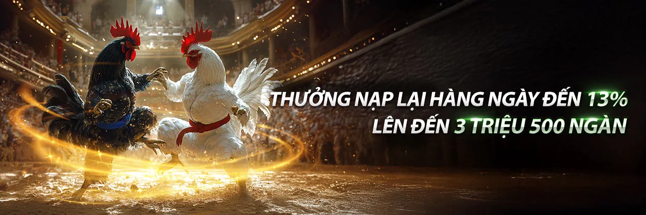 Người chơi chuyên nghiệp trên nền tảng xo88